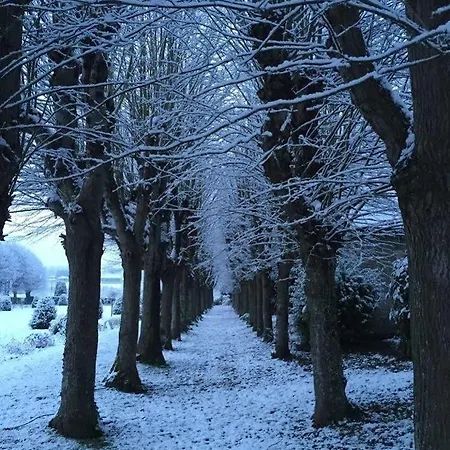 Domaine De